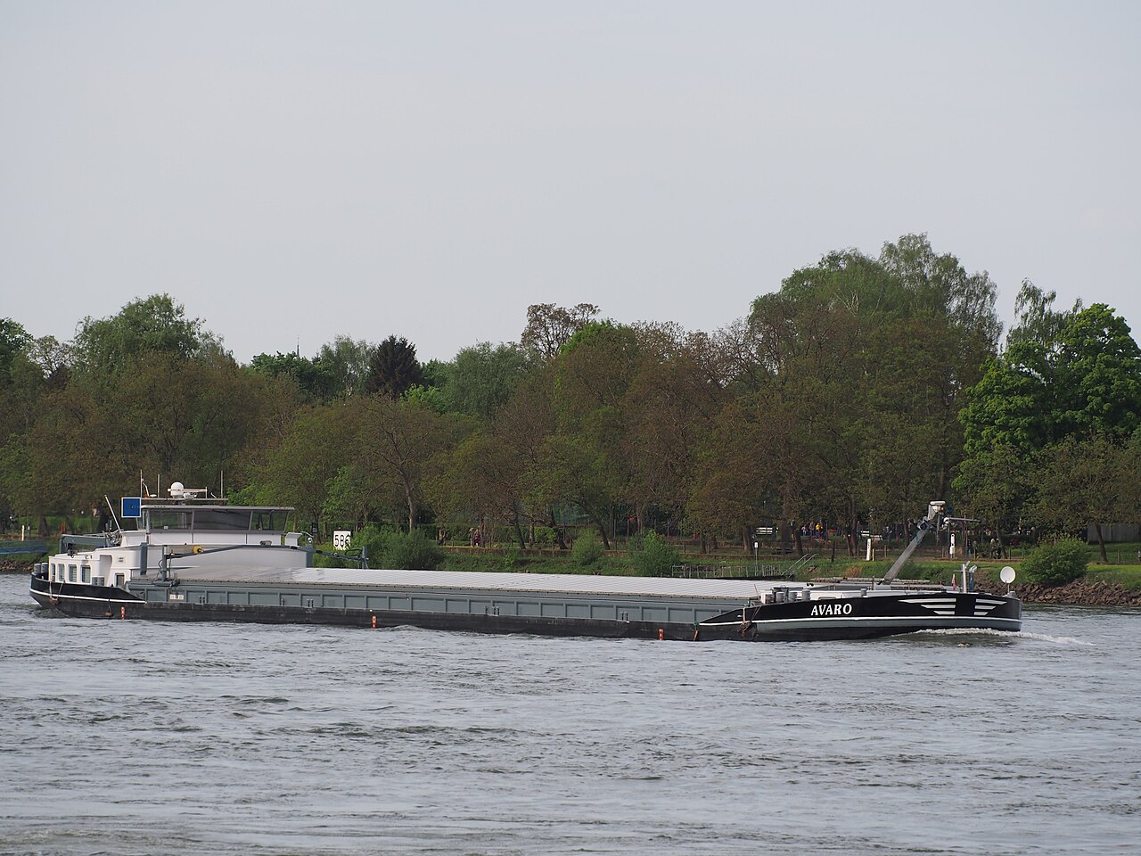 Rhine