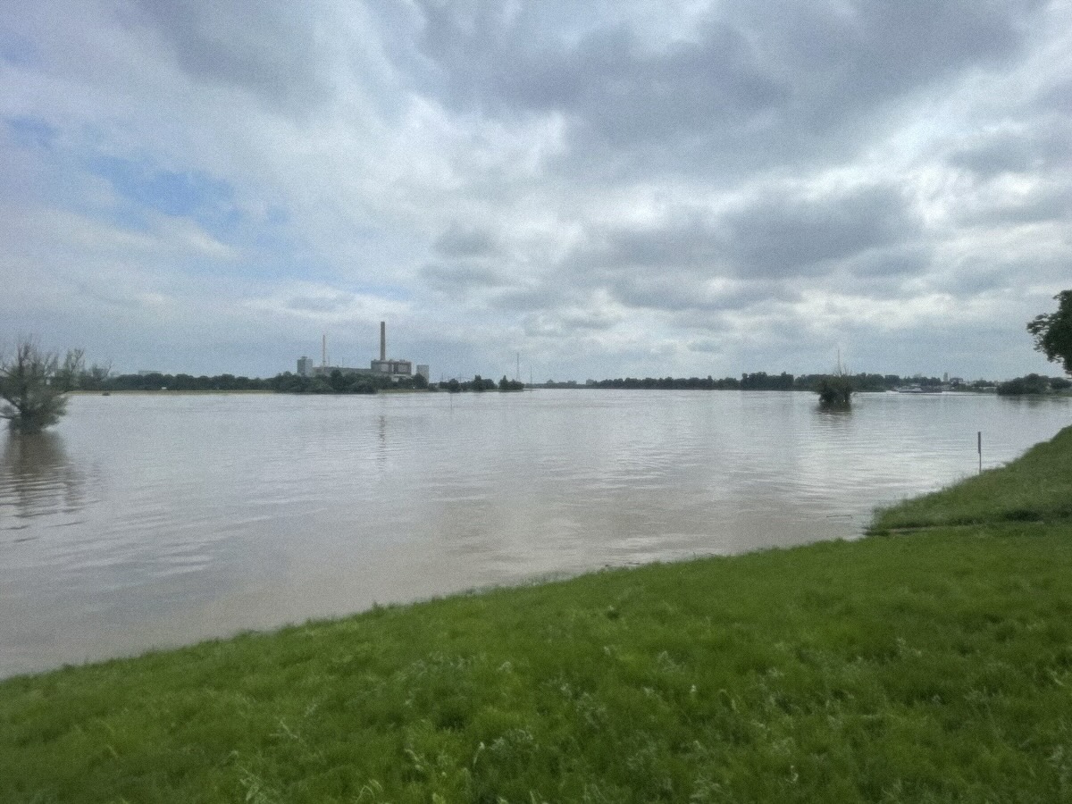 Rhine
