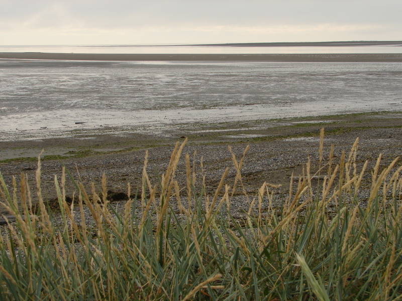 Rio Grande