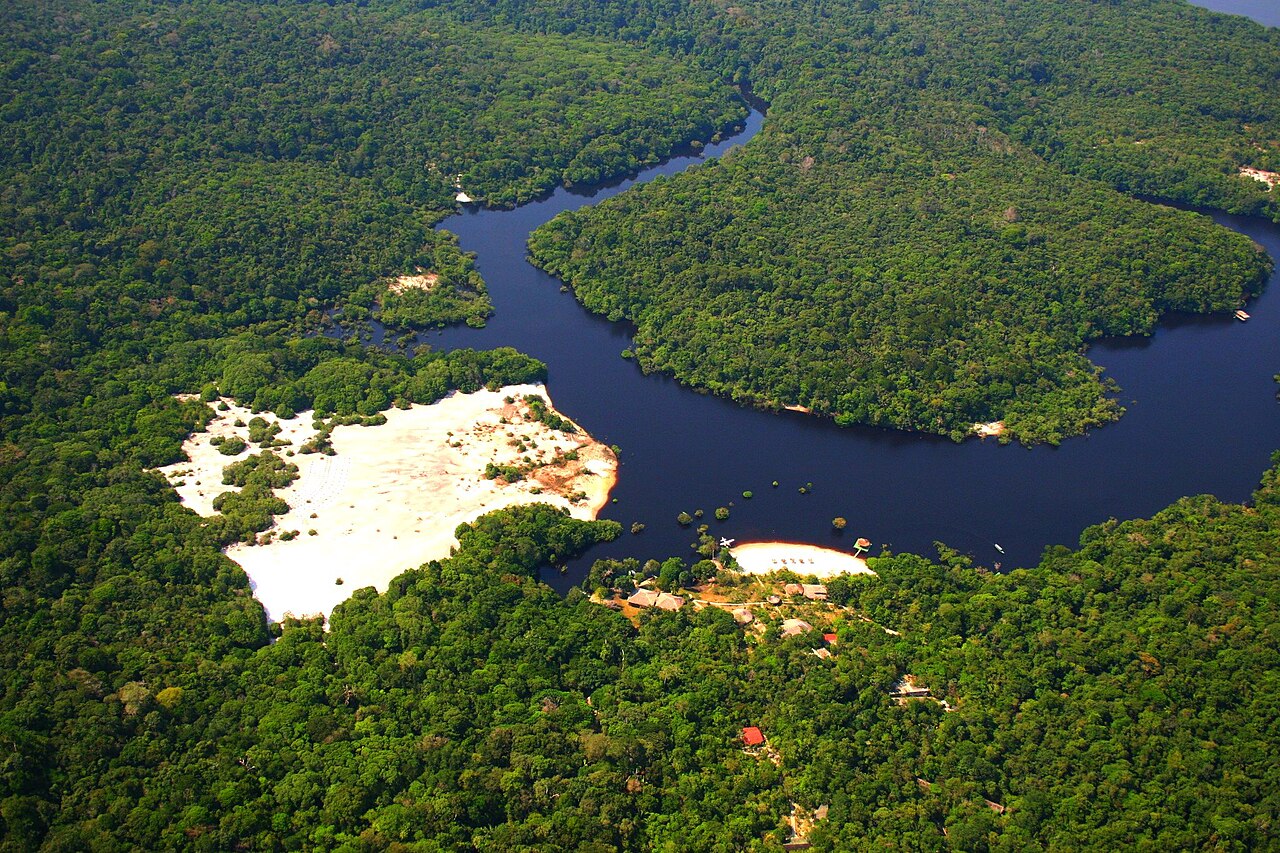 Rio Negro (Amazon)