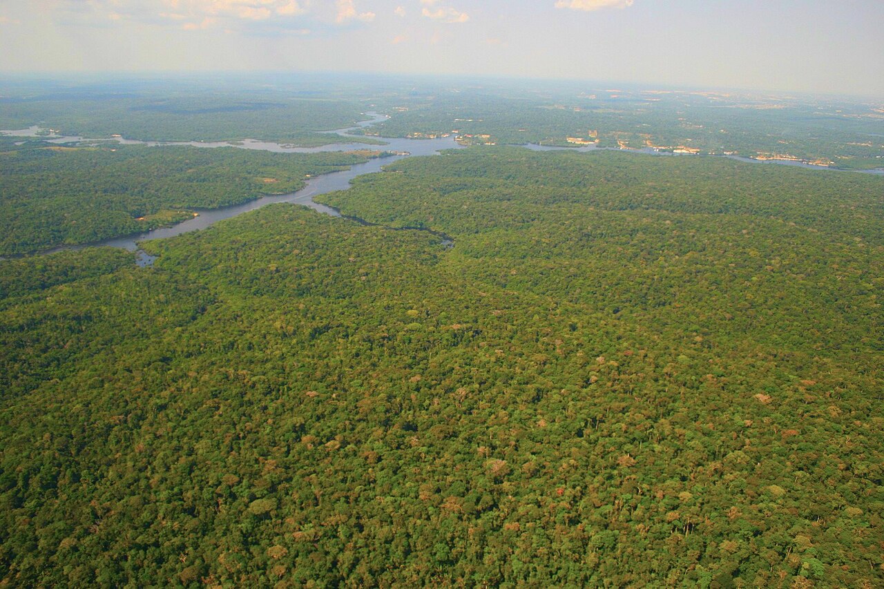 Rio Negro (Amazon)