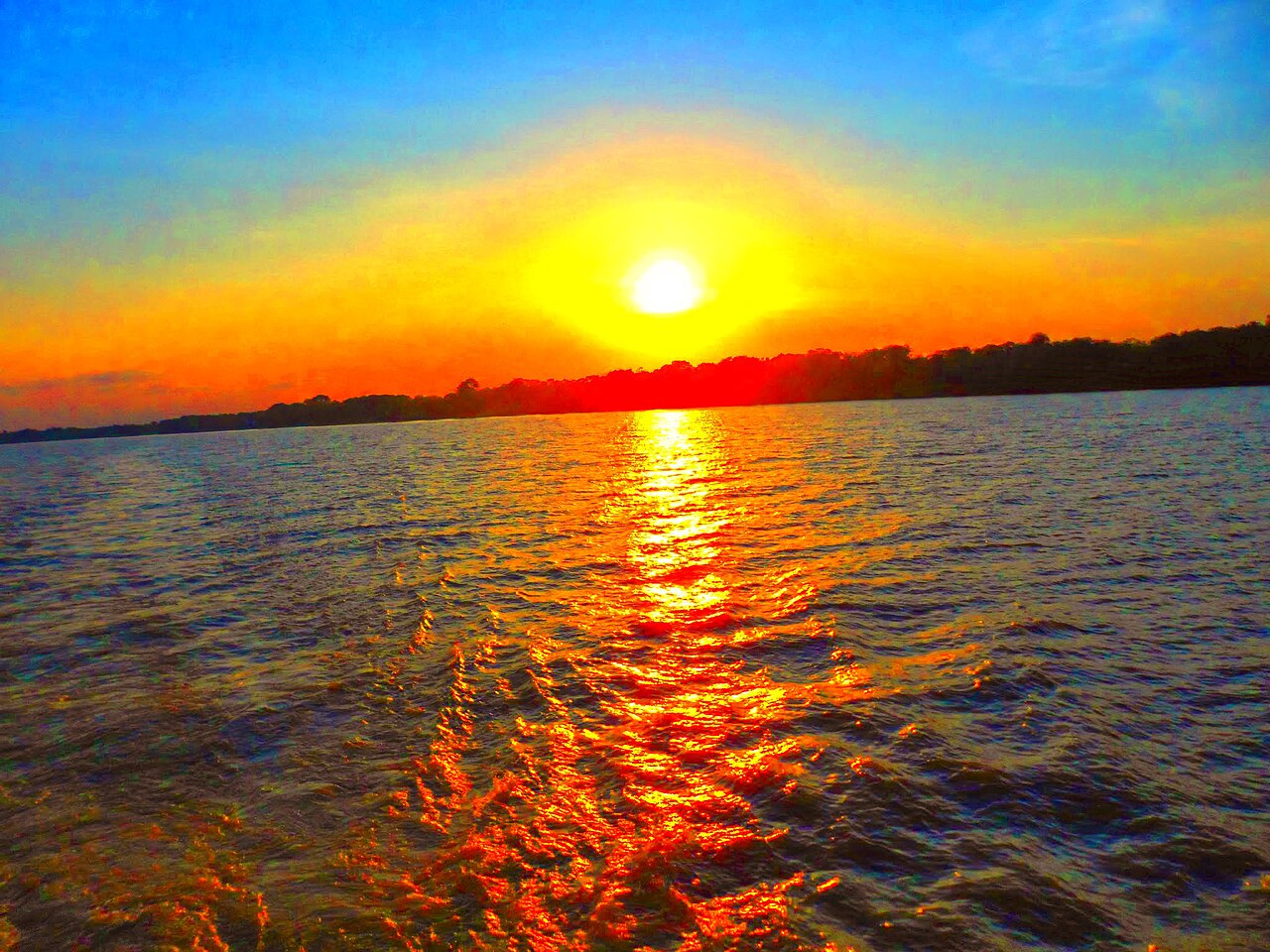 Rio Negro (Amazon)